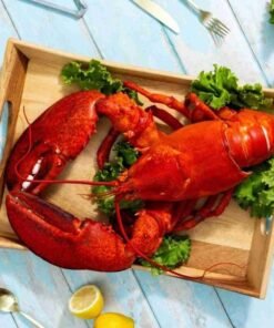 8 lb – 10 lb Live Canadian Lobster
